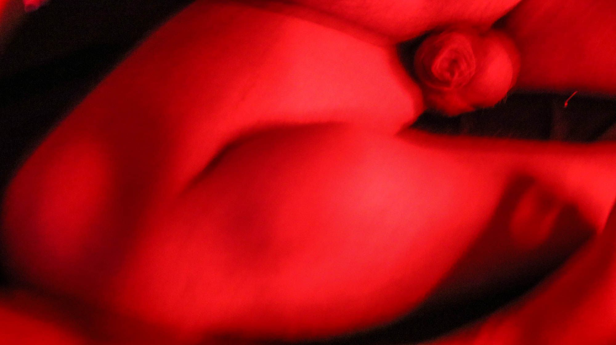 Corpos em Quarentena - Abhiyana (foto de Chris, The Red)